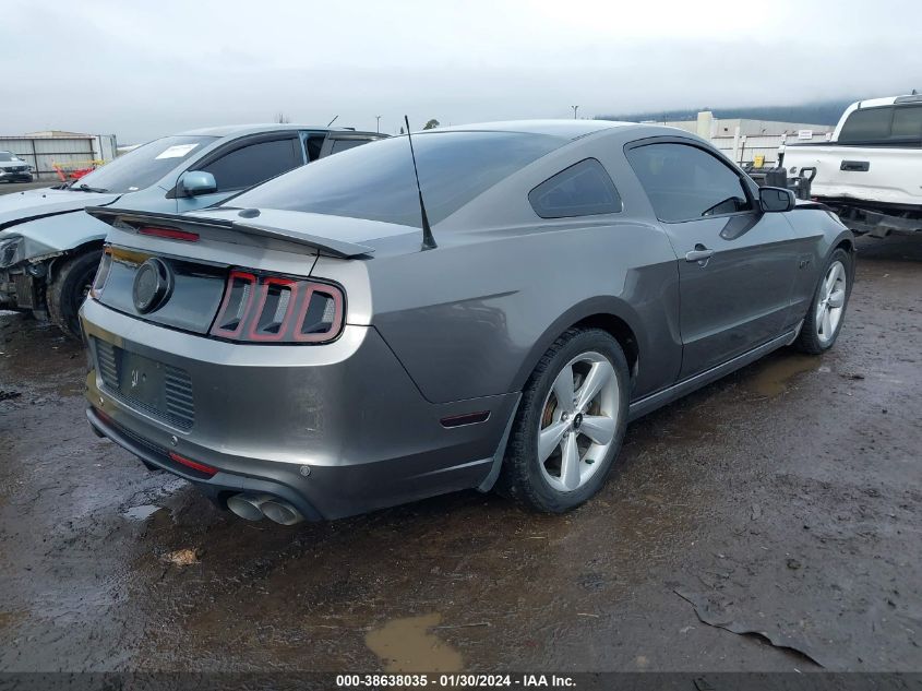 2014 FORD MUSTANG GT - 1ZVBP8CF7E5206362