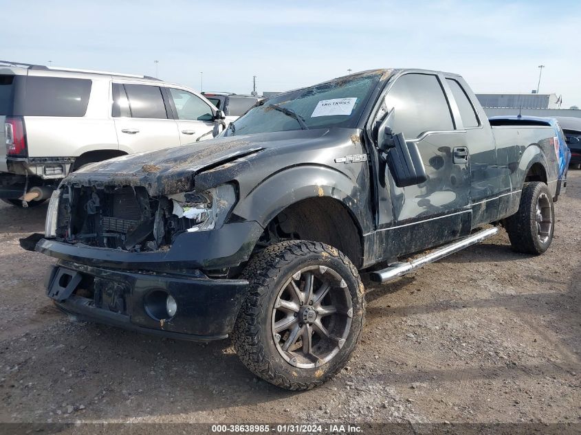 2013 FORD F-150 STX - 1FTFX1CF6DFD47881