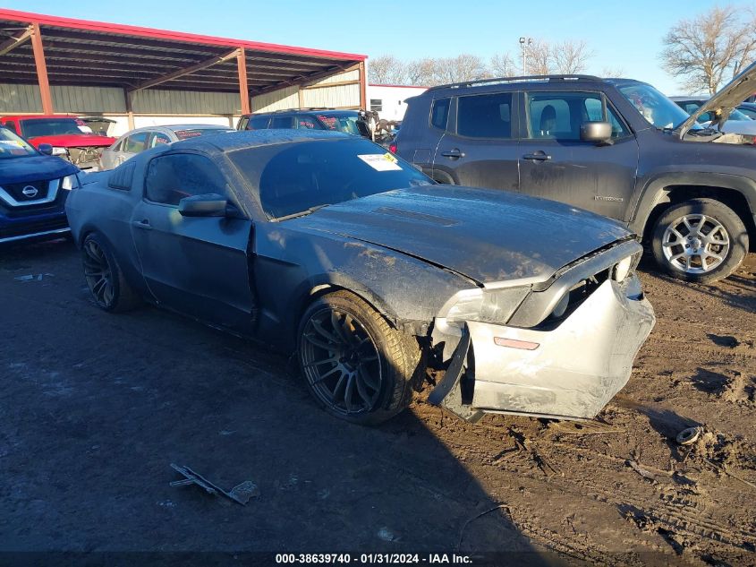 2014 FORD MUSTANG GT - 1ZVBP8CF2E5333634