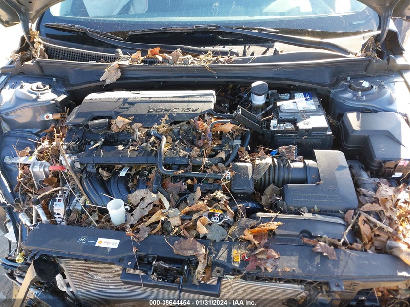 VIN KMHLS4AG1PU428930 2023 HYUNDAI ELANTRA SEL