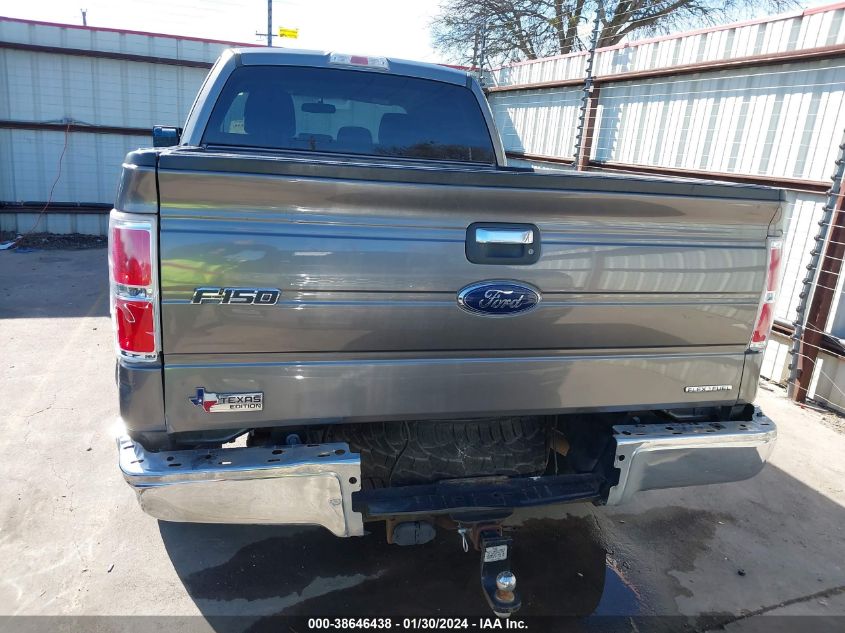 2013 FORD F-150 XLT - 1FTEX1CM9DFD17591