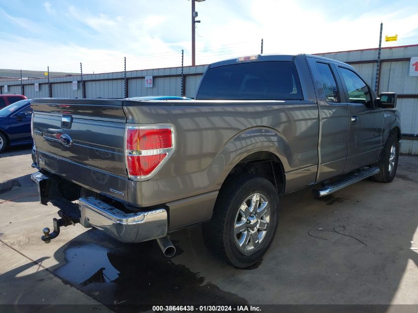 2013 FORD F-150 XLT - 1FTEX1CM9DFD17591