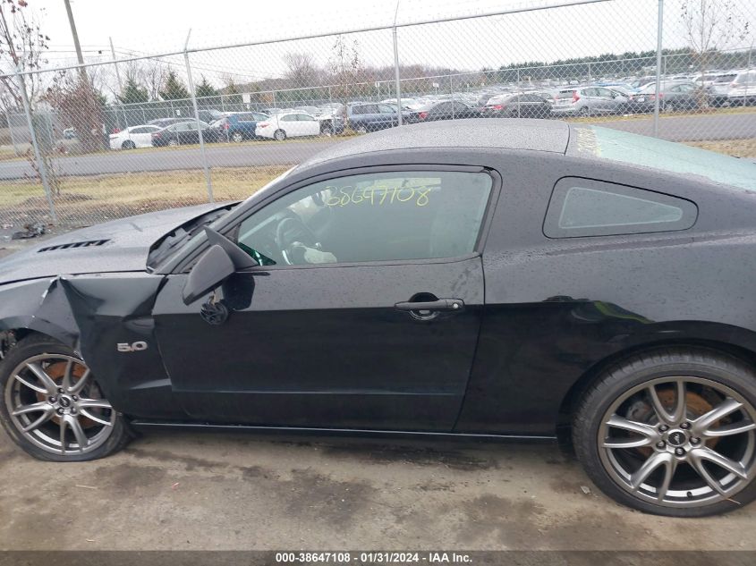 2014 FORD MUSTANG GT - 1ZVBP8CF1E5325542