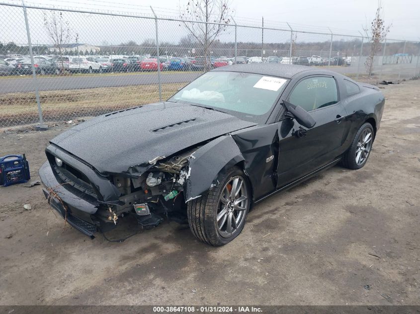 2014 FORD MUSTANG GT - 1ZVBP8CF1E5325542