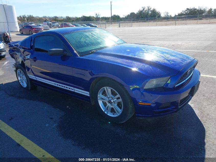 2013 FORD MUSTANG - 1ZVBP8AM6D5232077