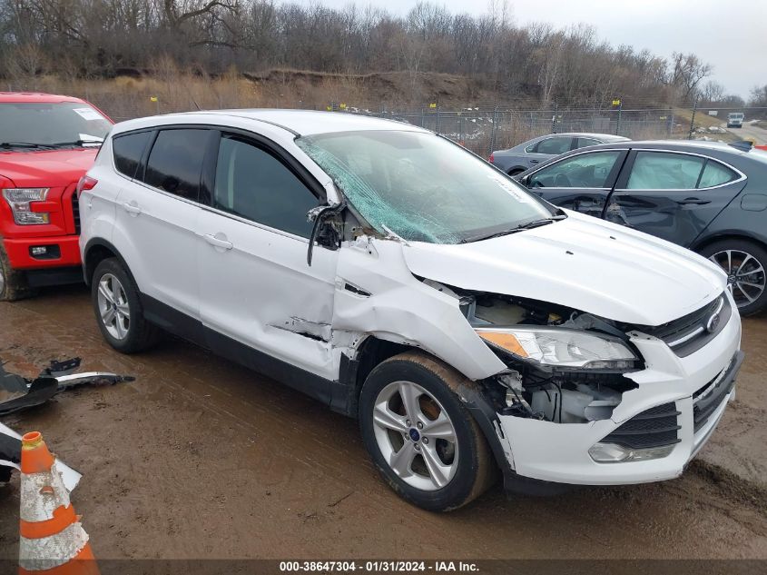 2014 FORD ESCAPE SE - 1FMCU0GX5EUB94301