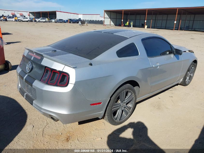 2013 FORD MUSTANG - 1ZVBP8AM6D5249168