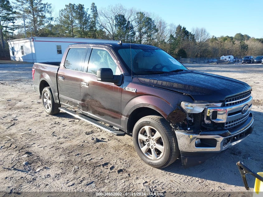 FORD F-150 XLT 2019