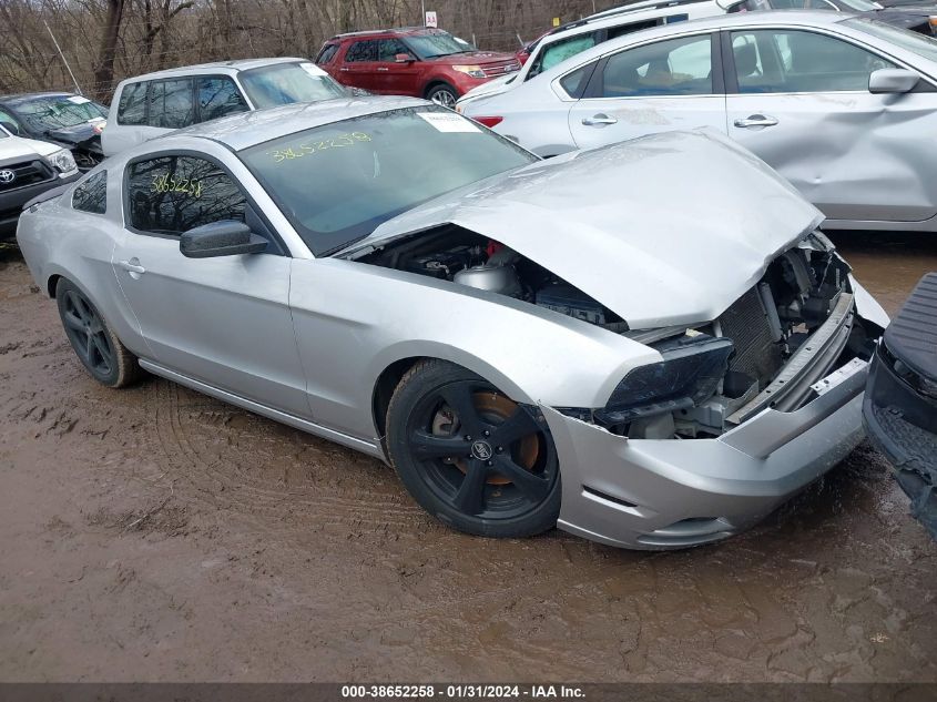 2013 FORD MUSTANG V6 - 1ZVBP8AM0D5258853