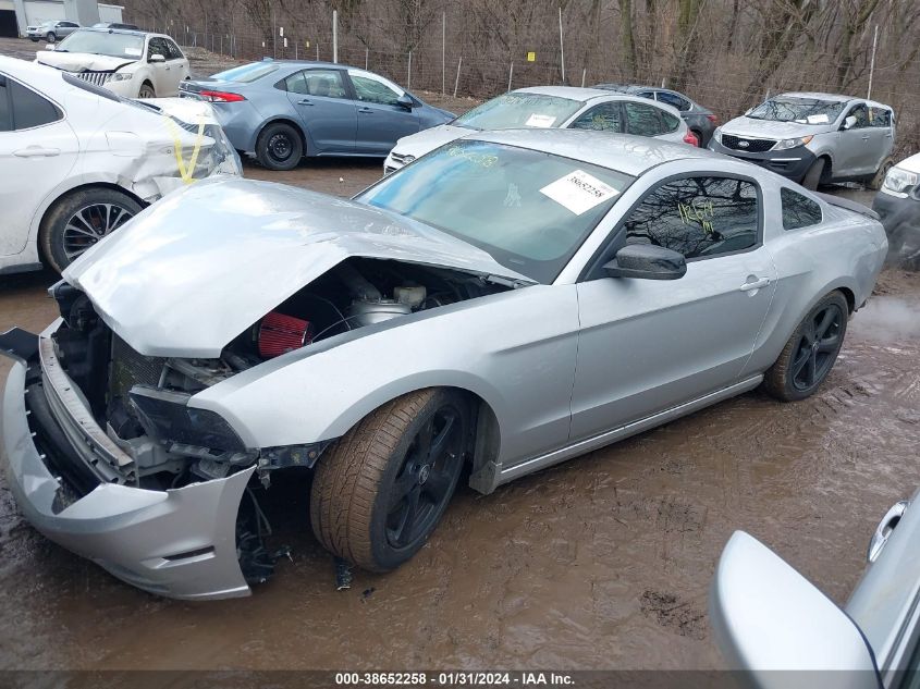 2013 FORD MUSTANG V6 - 1ZVBP8AM0D5258853