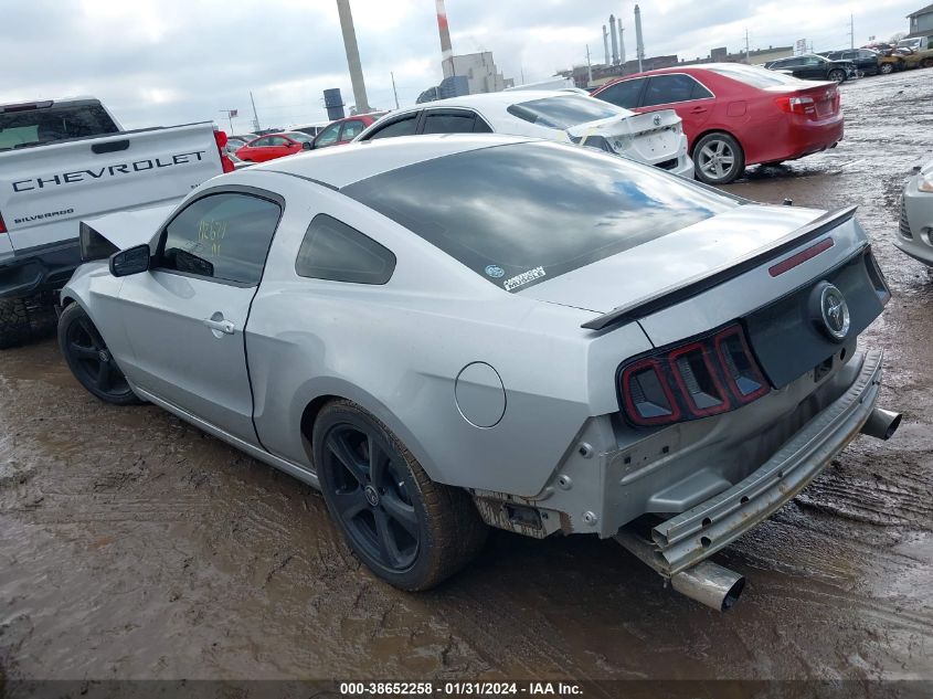 2013 FORD MUSTANG V6 - 1ZVBP8AM0D5258853