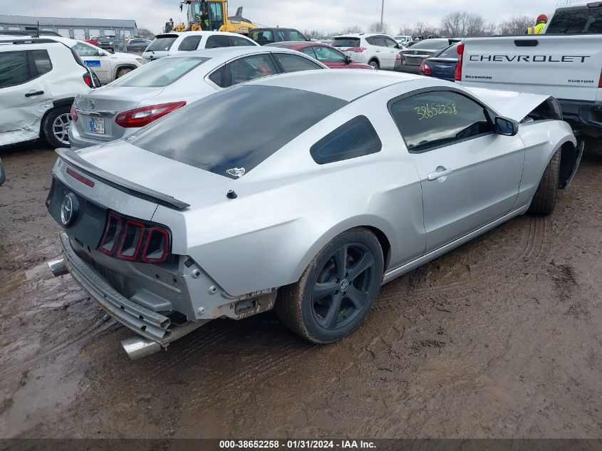 2013 FORD MUSTANG V6 - 1ZVBP8AM0D5258853