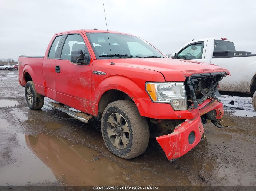 2013 FORD F-150 STX - 1FTFX1EF7DKG04986