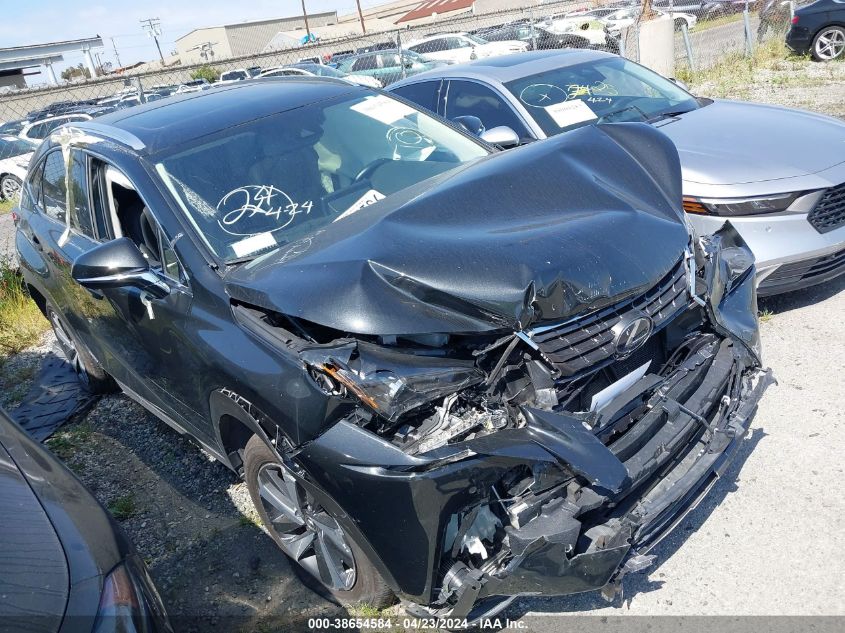 2021 LEXUS NX 300H - JTJGJRDZ0M2158550