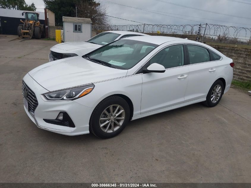 2019 HYUNDAI SONATA ECO - 5NPE24AA4KH774563