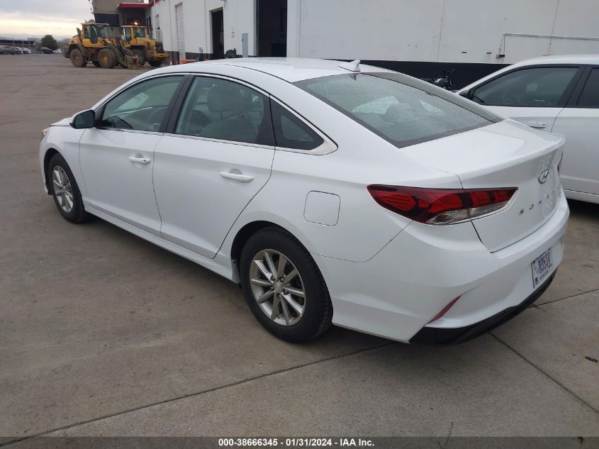 2019 HYUNDAI SONATA ECO - 5NPE24AA4KH774563