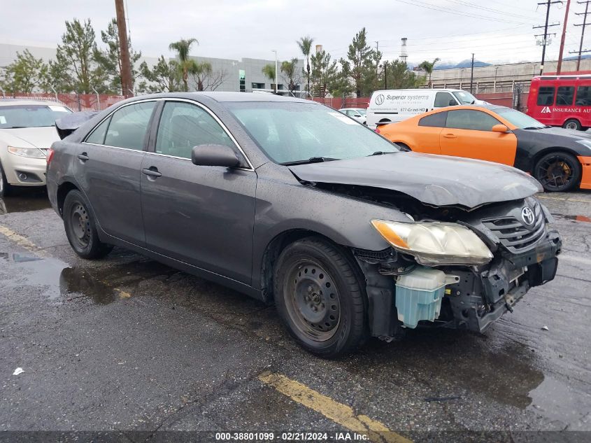 Lot #2543824553 2009 TOYOTA CAMRY LE salvage car