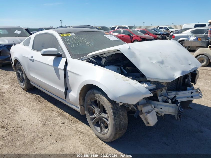 Lot #2524269272 2014 FORD MUSTANG V6 PREMIUM salvage car