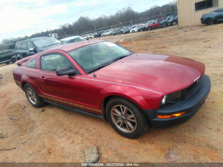 Lot #2523113924 2005 FORD MUSTANG V6 DELUXE/V6 PREMIUM salvage car