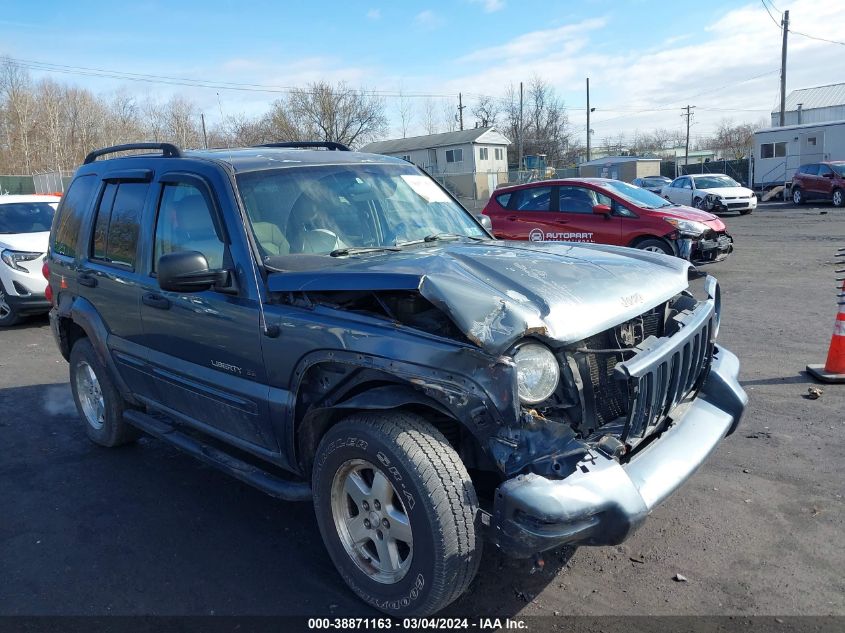 Lot #2541527068 2002 JEEP LIBERTY LIMITED EDITION salvage car