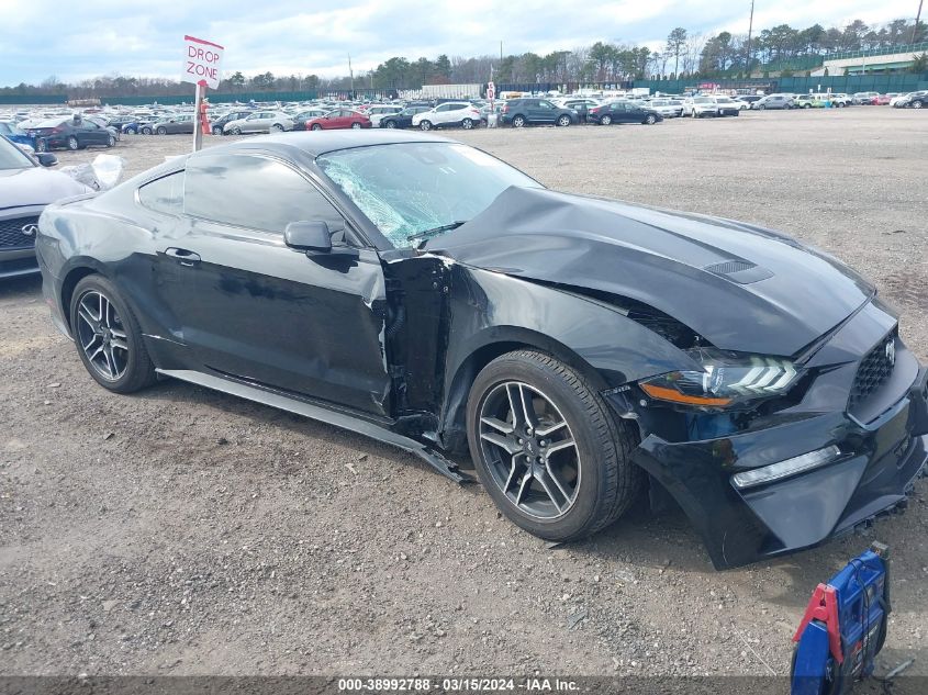 Lot #2555363863 2023 FORD MUSTANG ECOBOOST FASTBACK/ECOBOOST PREMIUM FASTBACK salvage car