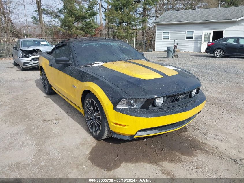 Lot #2539236970 2011 FORD MUSTANG GT PREMIUM salvage car