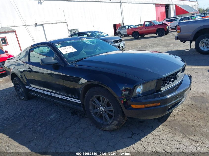 Lot #2536954735 2007 FORD MUSTANG V6 DELUXE/V6 PREMIUM salvage car
