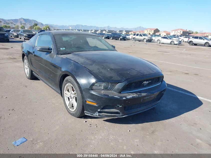 Lot #2527699460 2013 FORD MUSTANG V6 salvage car