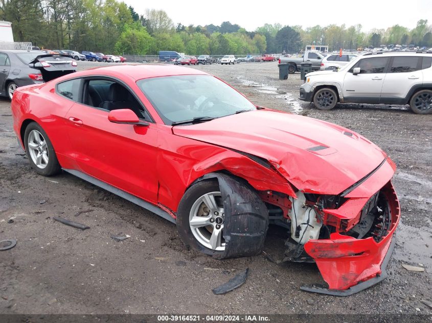 Lot #2539231036 2019 FORD MUSTANG salvage car