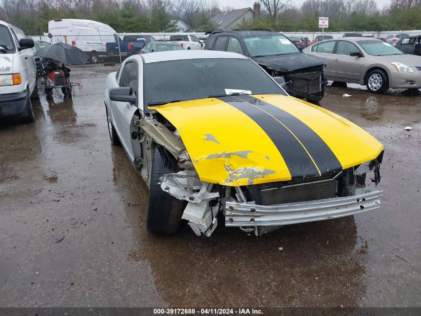 Lot #2525403010 2007 FORD MUSTANG V6 DELUXE/V6 PREMIUM salvage car
