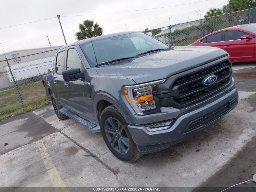 2023 FORD F-150 XLT #3049253836