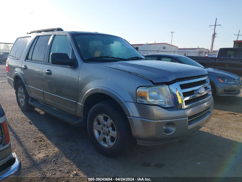 Lot #2541529873 2009 FORD EXPEDITION XLT salvage car