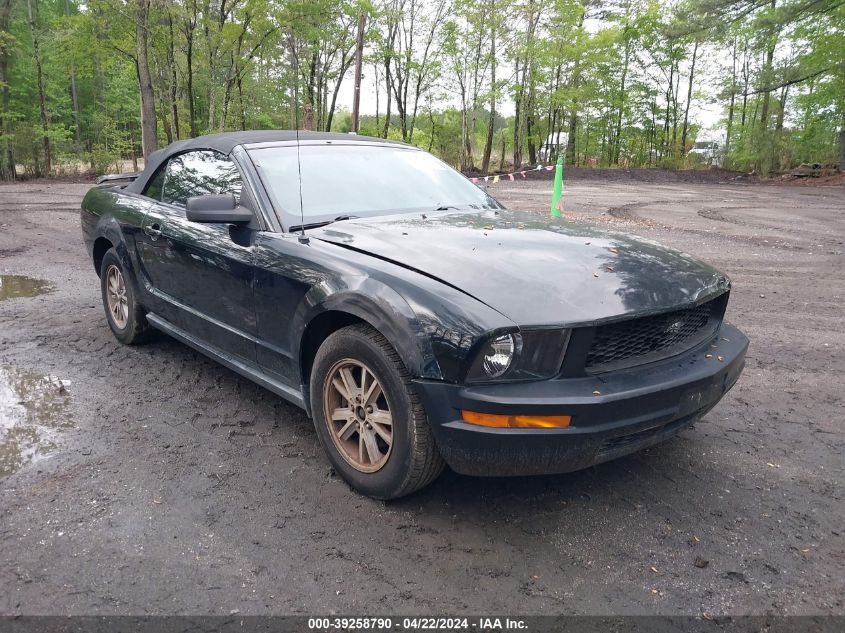 Lot #2525401589 2005 FORD MUSTANG salvage car