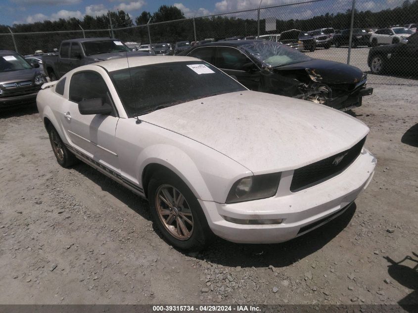 Lot #2536956491 2005 FORD MUSTANG V6 DELUXE/V6 PREMIUM salvage car