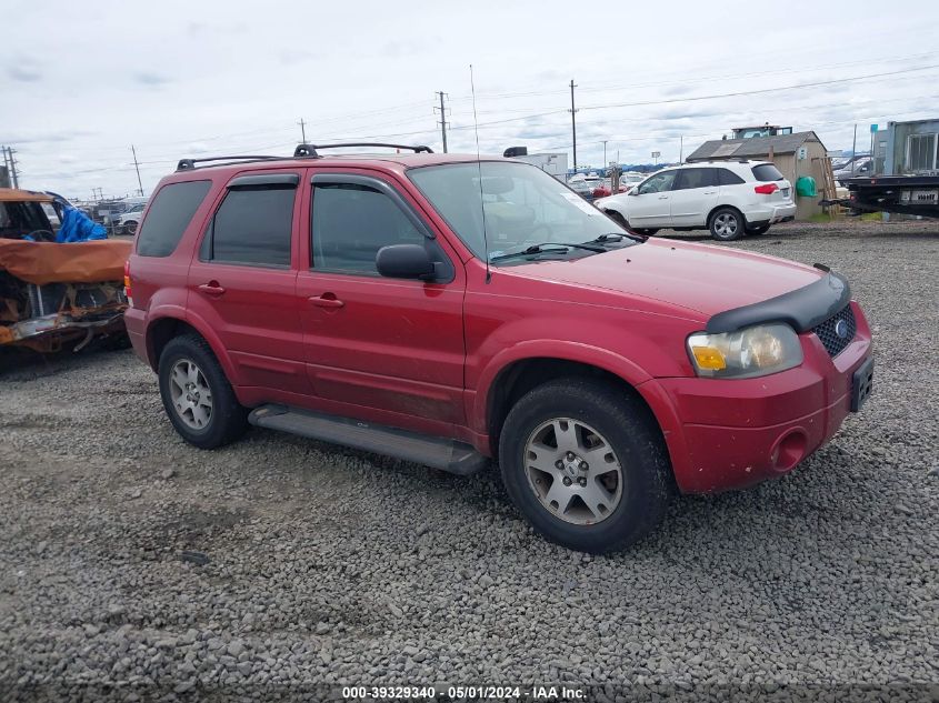Lot #2539241017 2005 FORD ESCAPE LIMITED salvage car