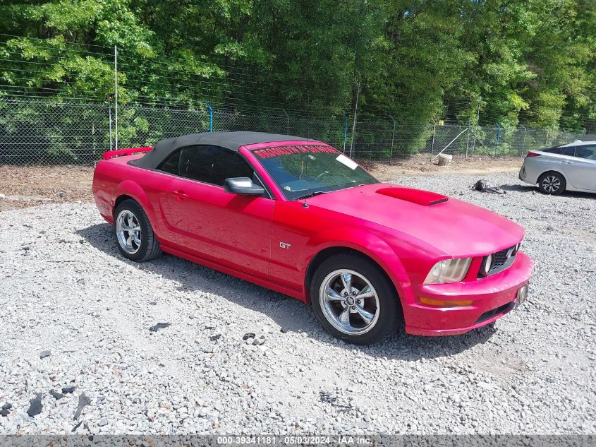 Lot #2525400192 2005 FORD MUSTANG GT salvage car