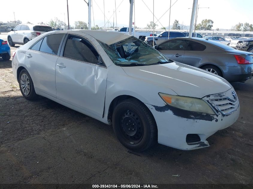 Lot #2541533837 2010 TOYOTA CAMRY LE salvage car