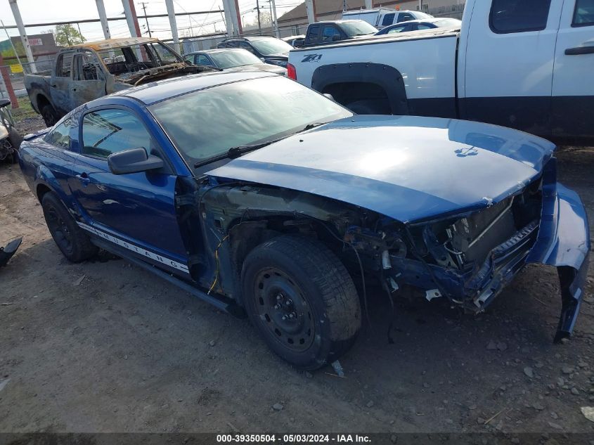 Lot #2531200789 2007 FORD MUSTANG V6 DELUXE/V6 PREMIUM salvage car