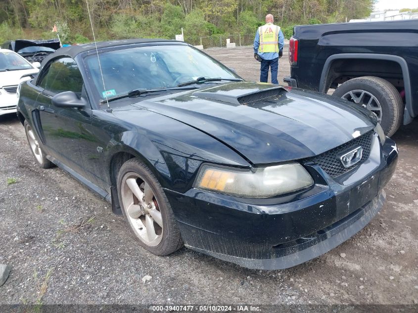Lot #2533508928 2002 FORD MUSTANG GT salvage car