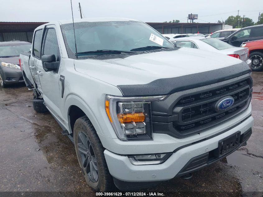 2023 FORD F-150 XLT #2992834244