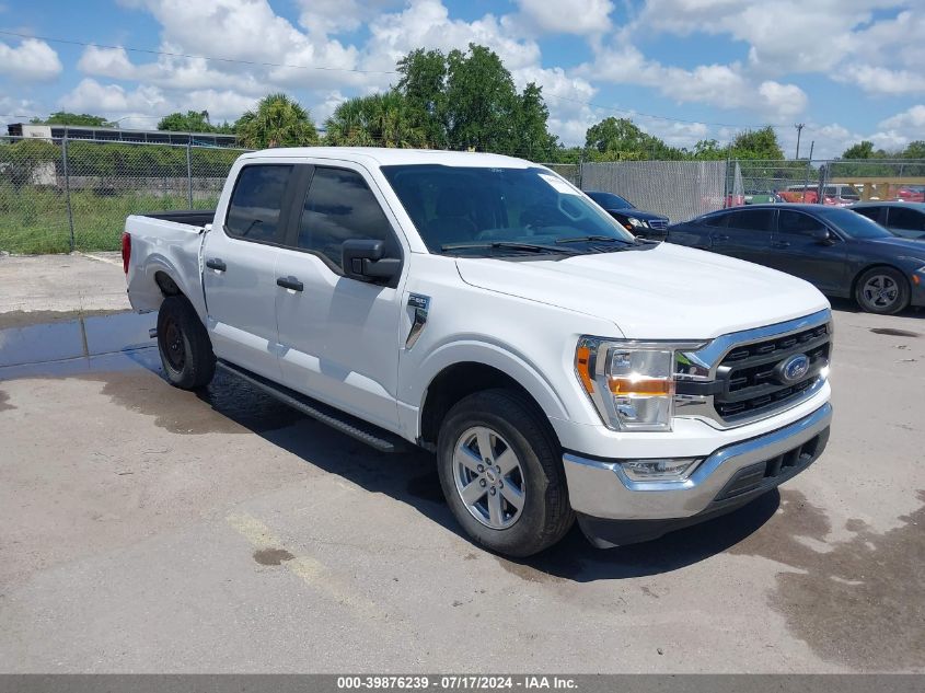 2021 FORD F-150 XLT #3021953359