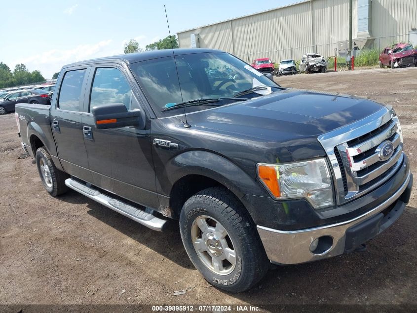 2010 FORD F-150 XL/XLT #3061650722