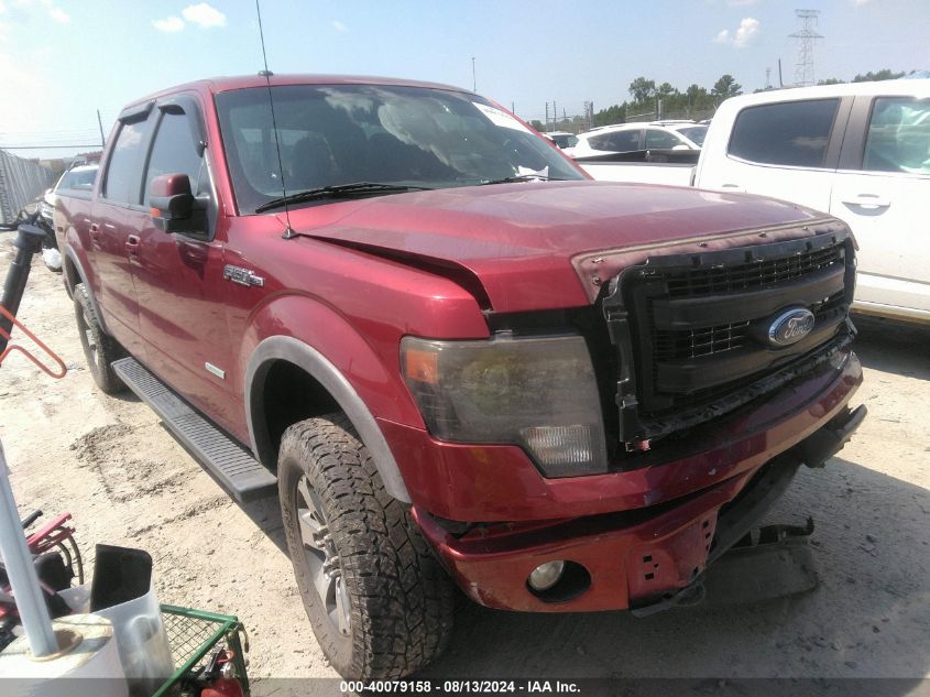 2013 FORD F-150 FX4 #2987909432