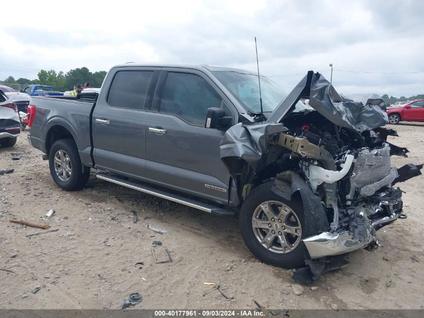 2023 FORD F-150 XLT #2985458253