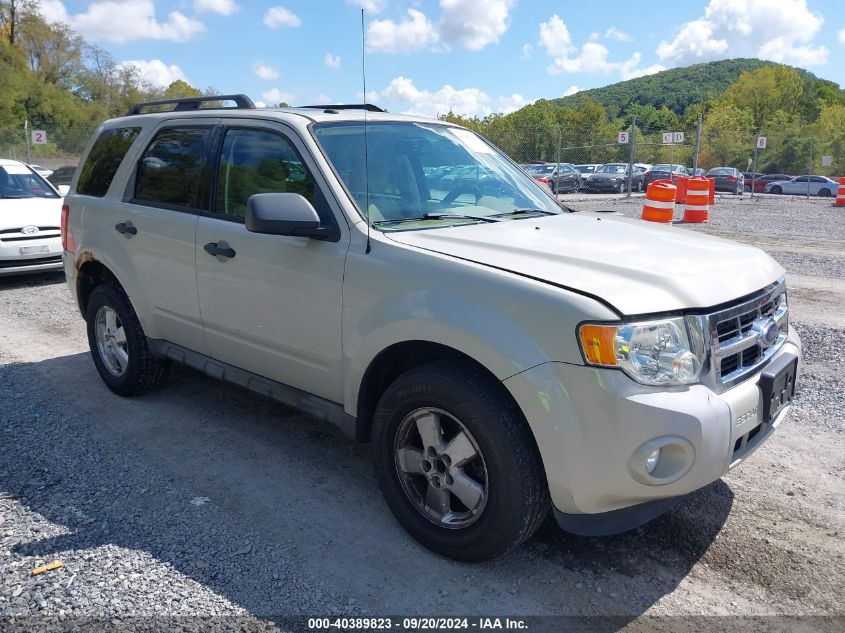 2009 FORD ESCAPE XLT #2997777881