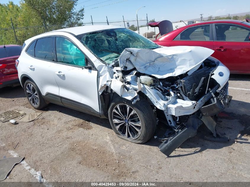 2022 FORD ESCAPE SE #3109640775