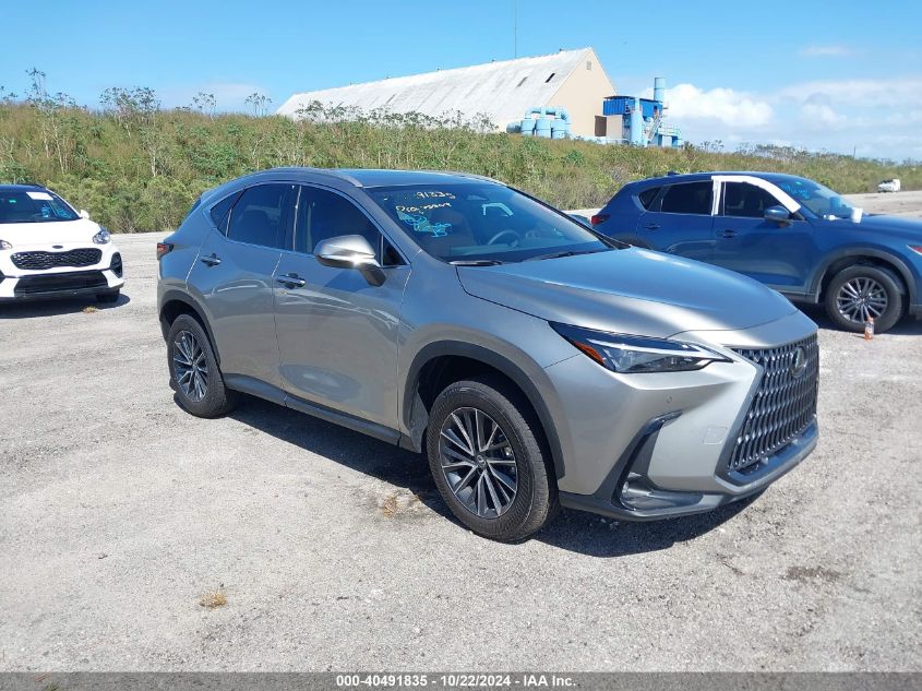 2025 LEXUS NX 250 PREMIUM #3037527774