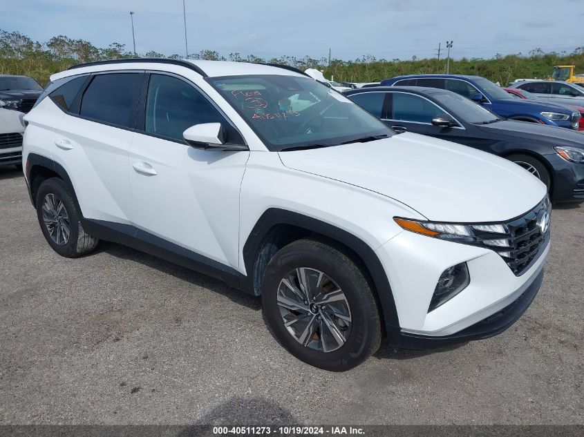 2024 HYUNDAI TUCSON HYBRID BLUE #2992825724