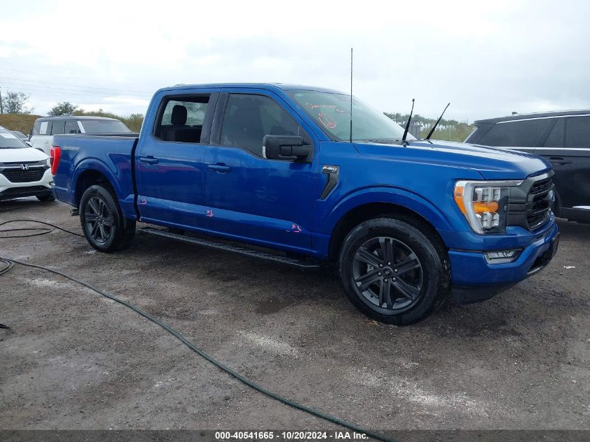 2023 FORD F-150 XLT #2992824754