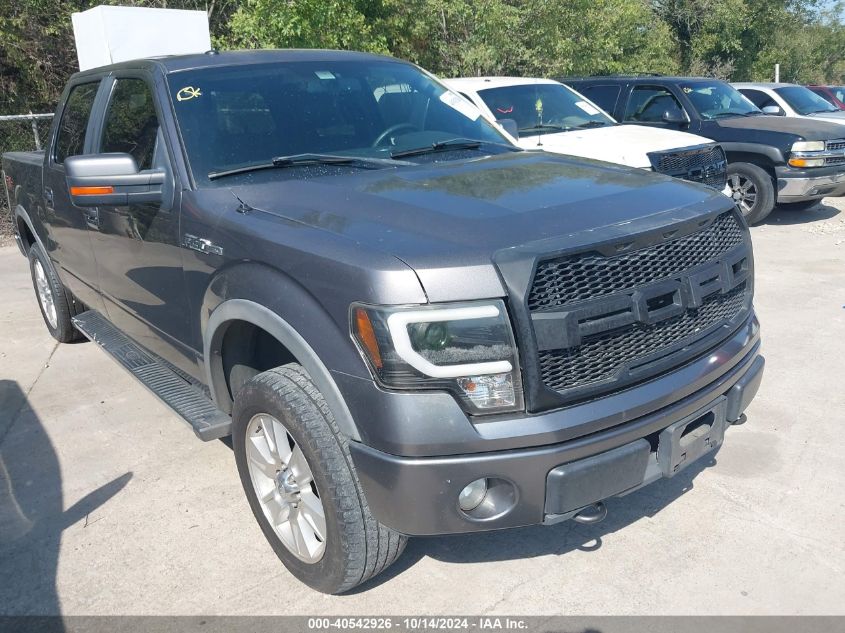 2010 FORD F-150 FX4/HARLEY-DAVIDSON/KING RANCH/LARIAT/PLATINUM/XL/XLT #2995288923